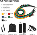11 Pcs Complete Home Gym Kit (Imported)